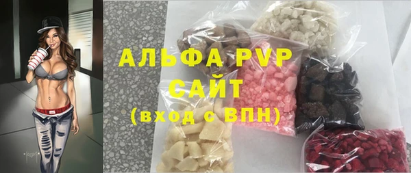 индика Абаза