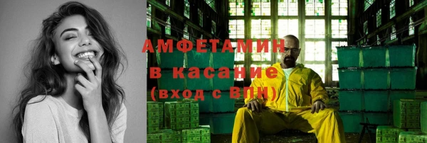 индика Абаза